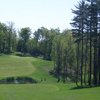 Tree Links GC