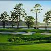 Ocean Harbour Golf Links