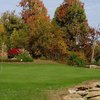 Cherry Wood GC
