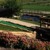 White Mountain Executive GC