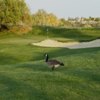 Lone Tree GC