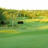 Auburn Valley CC