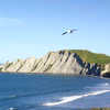 Cape Kidnappers
