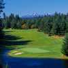 Olympic at Gold Mountain GC: #9
