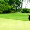 Mapocho GC