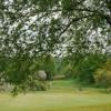 Alloa GC: #18