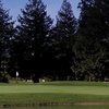 Foxtail GC