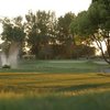 Bing Maloney GC