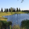 Wildhawk GC