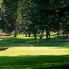 Cranbrook GC: 8th green