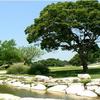 Hidden Springs GC: #7