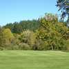 Springfield CC: #17