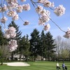Charbonneau GC - Green/Red