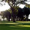 Cattails GC