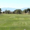 Desert Hawk at Pueblo West