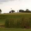 Sugar Cane GC