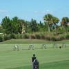 River Strand GCC: Driving range