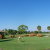GC of Jupiter: putting green
