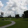 Hibiscus GC: #4