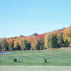 George Young Recreation: driving range