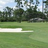 Binks Forest GC: #9