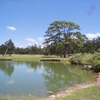 Lost Pines GC