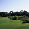 Grapevine GC - Mockingbird: #7