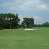 Grapevine GC - Pecan: #8