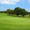Grapevine GC - Mockingbird: #1