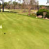 Northgate CC: putting green