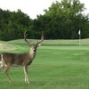 Lago Vista GC