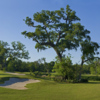 Wilderness GC: #16