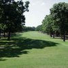 Pinnacle C: #8