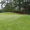 Houndslake CC: putting green