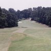 Anderson CC: #11