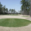 Traces GC - Meadows: #1