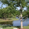 Asheboro CC