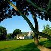 Kino Springs GC: putting green