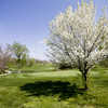 Gardner GC