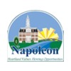 Napoleon Municipal Golf Course - Public Logo