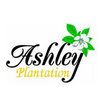 Ashley Plantation Country Club - Meadows Course Logo