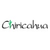 Chiricahua Course at Desert Mountain Golf Club Logo