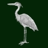 Bluff National Park Golf Club Logo