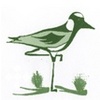 St Cathryn's Golf Club Logo