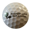 Ballinger Park Golf Club - Public Logo