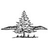 Tambo Valley Golf Club Logo