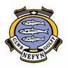 Nefyn and District Golf Club - The New Course Logo