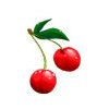 Cherry Valley Golf Course Logo