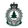 CFB Borden Golf Club - Anderson Park Logo