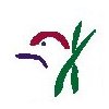 Roy Kizer at Jimmy Clay/Roy Kizer Golf Course - Public Logo